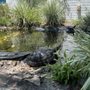 Photo of Emerald Coast Science Center