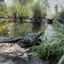 Emerald Coast Science Center