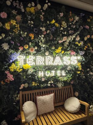 Terrass'' Rooftop Bar by null