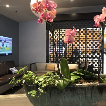 Patagōn - Lovely sitting area - Argentine Near Me - Seattle, Washington Patagōn - Lovely sitting area - Argentine Near Me - Seattle, Washington
