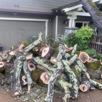 Ricks' Tree Service - Rick's crew stacked tree debris neatly in my driveway instead of leaving it around until they could take it away. - Tree Services Near Me - Walnut Creek, California Ricks' Tree Service - Rick's crew stacked tree debris neatly in my driveway instead of leaving it around until they could take it away. - Tree Services Near Me - Walnut Creek, California