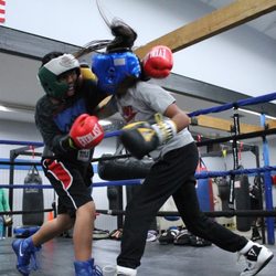 All World Boxing