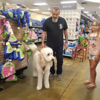 PetSmart - After grooming - Pet Training Near Me - Riverside, California