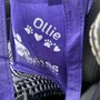 PetSuites Johns Creek