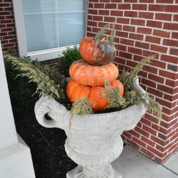 Comfort Suites West Memphis I-40 I-55 - Just outside the front entrance. This was the fall season. - Hotels Near Me - West Memphis, Arkansas Comfort Suites West Memphis I-40 I-55 - Just outside the front entrance. This was the fall season. - Hotels Near Me - West Memphis, Arkansas