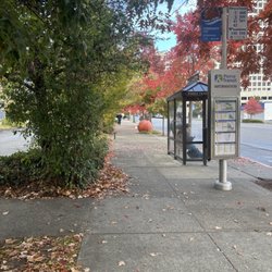 Sound Transit #594 - Bus Stop