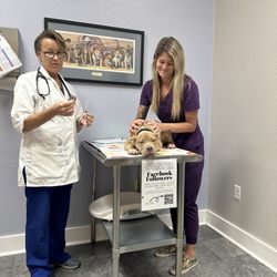 Animal Medical Center - Dr Wilson explaining Queen' s shots  all went well of course