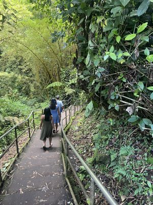 ʻAkaka Falls State Park by null