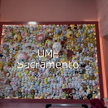 UME Tea - Sacramento - Coffee & Tea Near Me - Sacramento, California