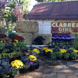 Big Trees Nursery - Fall perennials