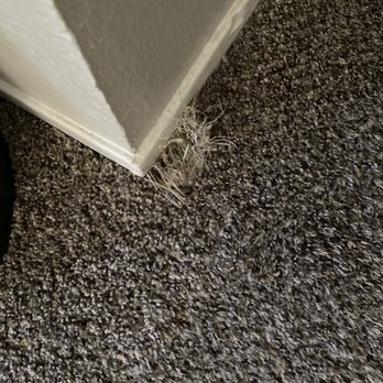CarePro Services - Carpet Installation Near Me