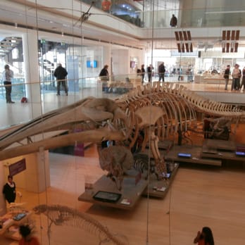 MUSE - Museo delle Scienze - Big!!! - Museums Near Me - Trento, Tennessee