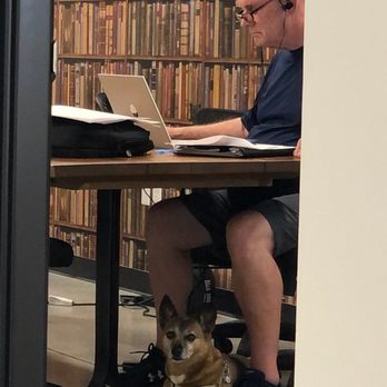 WorkSpace Carlsbad - And pooch approved ! - Shared Office Spaces Near Me - Carlsbad, California WorkSpace Carlsbad - And pooch approved ! - Shared Office Spaces Near Me - Carlsbad, California