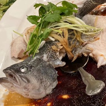 Oriental Pearl Restaurant - Steamed fish in Cantonese style - Seafood Near Me - Chamblee, Georgia Oriental Pearl Restaurant - Steamed fish in Cantonese style - Seafood Near Me - Chamblee, Georgia