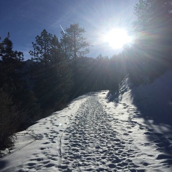 Bristlecone Trail - Hiking Near Me - Mount Charleston, Nevada