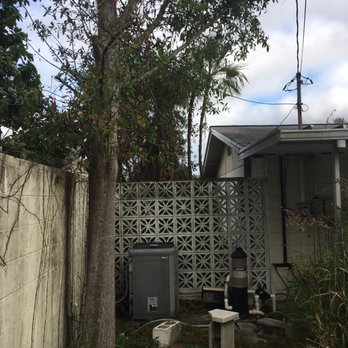 Competitive Tree Service - Tree Services Near Me - Orlando, Florida