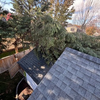 Cedar Ridge Tree Service - Storm damage left this tree on the house. Got it removed quickly and safely without any additional damage. - Tree Services Near Me