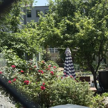 Bedford-Stuyvesant - Perk through gate of Quincy Street Community Garden - Local Flavor Near Me Bedford-Stuyvesant - Perk through gate of Quincy Street Community Garden - Local Flavor Near Me