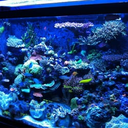 Tropics Aquarium Professionals