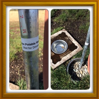 Hawk's Prairie Off Leash Dog Park - DO NOT DRINK WATER! obviously not safe for dogs either!! - Dog Parks Near Me - Lacey, Washington Hawk's Prairie Off Leash Dog Park - DO NOT DRINK WATER! obviously not safe for dogs either!! - Dog Parks Near Me - Lacey, Washington