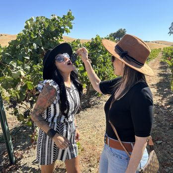 Sidecar Tours - Food Tours Near Me - Paso Robles, California