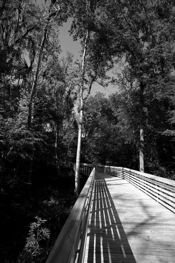 Hogtown Creek Greenway Image
