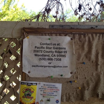 Pacific Star Gardens - Company Info - Grocery Near Me - Woodland, California Pacific Star Gardens - Company Info - Grocery Near Me - Woodland, California
