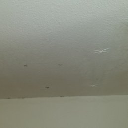 Ceiling over shower -- "Just a few months old?" You decide. Ceiling over shower -- "Just a few months old?" You decide.