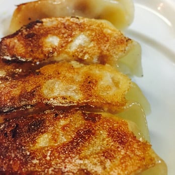 Ramen Daikoku - Fried dumplings - Ramen Near Me - Auckland, AUK