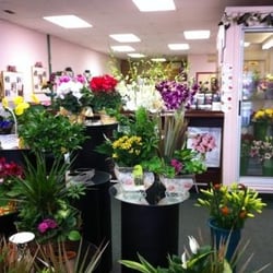 The Brampton Flower Shop - Brampton Flower Shop