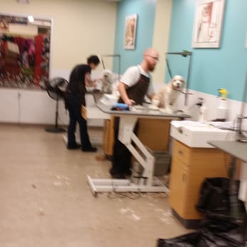 PetSmart - Extremely helpful to answer all my questions. - Pet Training Near Me - Lynnwood, Washington PetSmart - Extremely helpful to answer all my questions. - Pet Training Near Me - Lynnwood, Washington