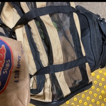 Chicago Union Station - At  Union station Platform boarding & Amtrak Lakeshore Train  & my  little Cat-Tiger back to N.Y.C-Statue of Liberty state  ! - Train Stations Near Me - Chicago, Illinois