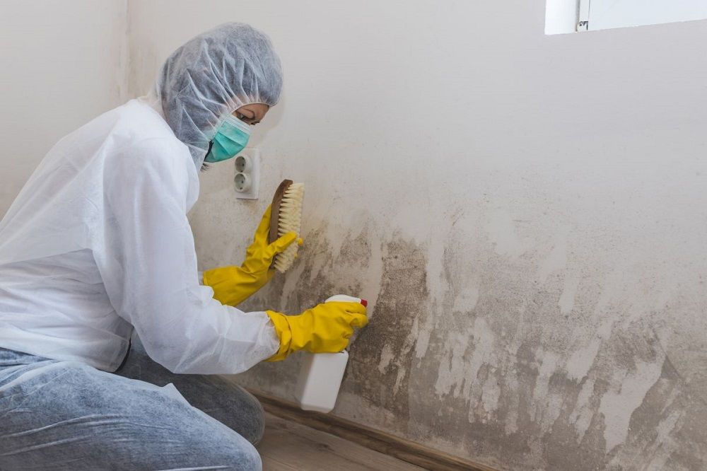 Bustan Mold Remediation - mold inspector in Santa Barbara, CA