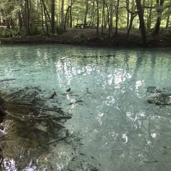 Ginnie Spring - Rafting/Kayaking Near Me - High Springs, Florida