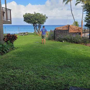 Polynesian Shores Condominium - Photo of the manager breaking the law by refusing to wear a mask. - Resorts Near Me - Lahaina, Hawaii Polynesian Shores Condominium - Photo of the manager breaking the law by refusing to wear a mask. - Resorts Near Me - Lahaina, Hawaii