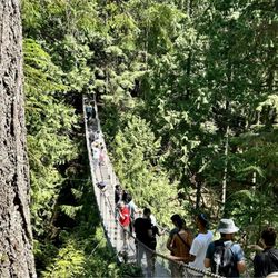 Lynn Canyon Suspension Bridge - The bridge can get crowded by midday with lines just to enter on it.
