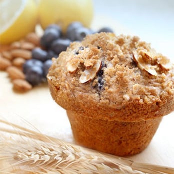 Great Harvest Bread - Lemon Blueberry Muffin - Bakeries Near Me - Charlotte, North Carolina