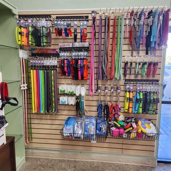 Animal Clipper - Leashes  and collars - Pet Groomers Near Me - Mesa, Arizona