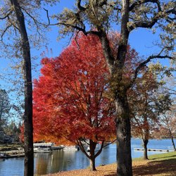 Lake of the Pines Golf Club - Fall