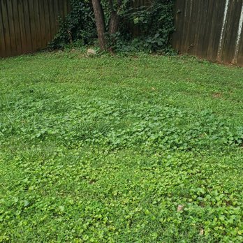 Is Lawn Love Available in My Area?