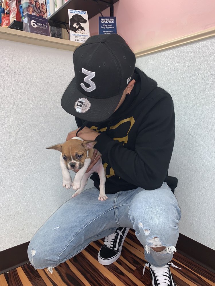 FURRY BABIES JOLIET Updated April 2024 60 Photos & 28 Reviews