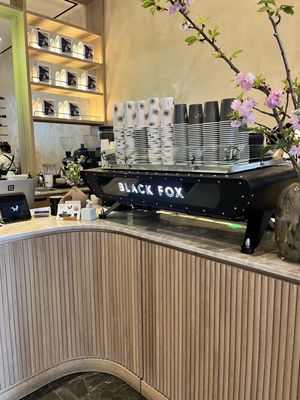 Black Fox Coffee by null