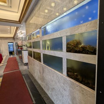 Very Fair Seafood cuisine - Seafood Near Me - Toronto, Ontario Very Fair Seafood cuisine - Seafood Near Me - Toronto, Ontario