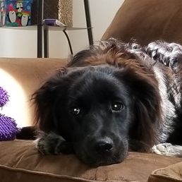 I'm super cute I'm super cute