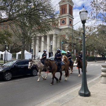 Spot of Tea - Police on horses - Coffee & Tea Near Me - Mobile, Alabama Spot of Tea - Police on horses - Coffee & Tea Near Me - Mobile, Alabama