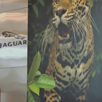 Jaguar Annapolis - Car Dealers Near Me - Annapolis, Maryland Jaguar Annapolis - Car Dealers Near Me - Annapolis, Maryland