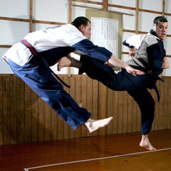 Warrior Scholar Martial Arts