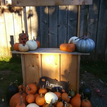 Willy Tee's Pumpkin Patch - Pumpkin Patches Near Me - Chehalis, Washington