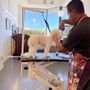 Photo of Namast'ay Dog Spa