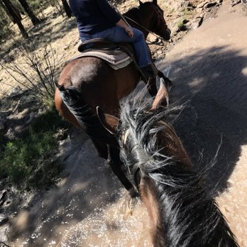 Porter Mountain Stables - Horseback Riding Near Me - Lakeside, Arizona Porter Mountain Stables - Horseback Riding Near Me - Lakeside, Arizona